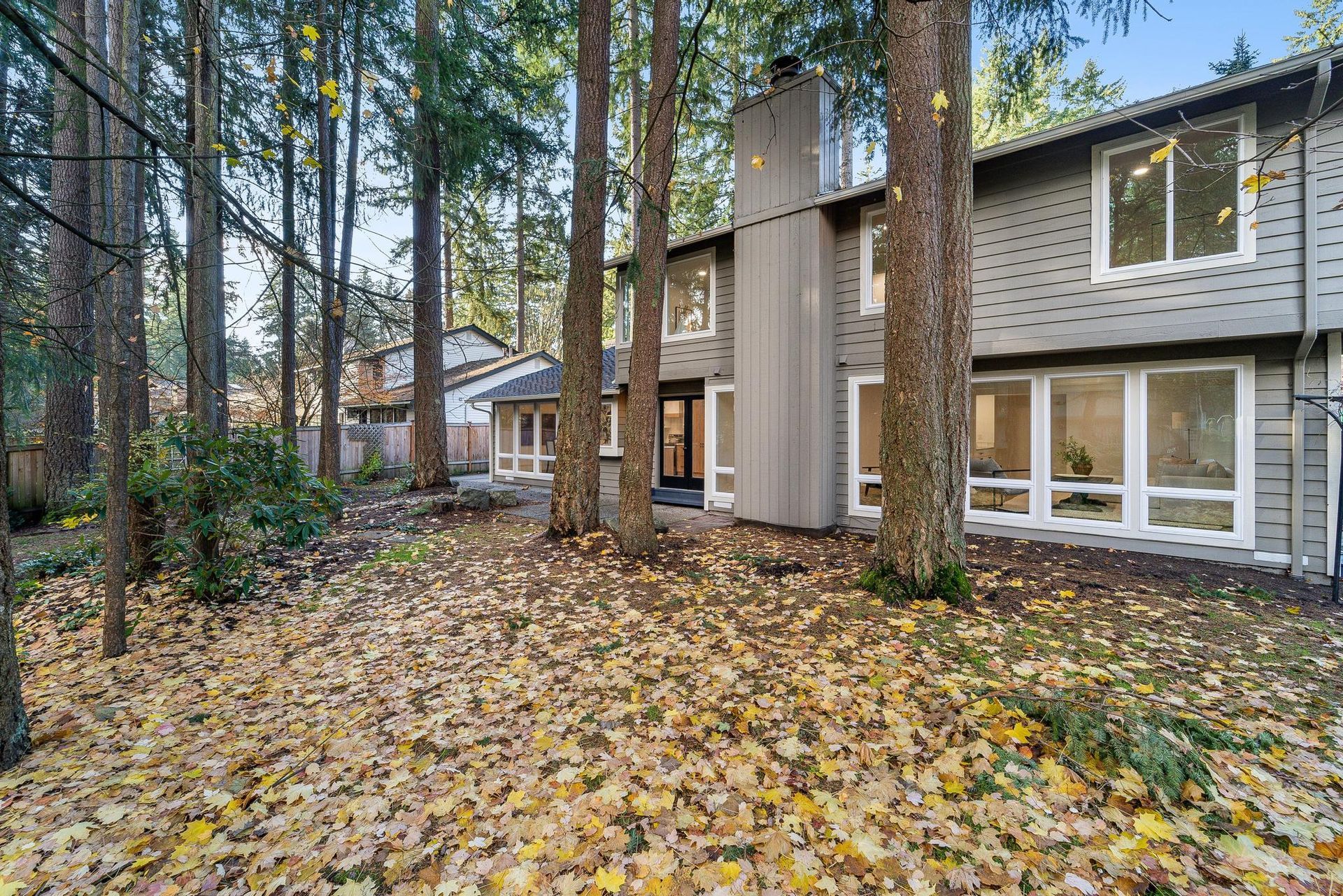 A house in the middle of a forest with a lot of leaves on the ground.