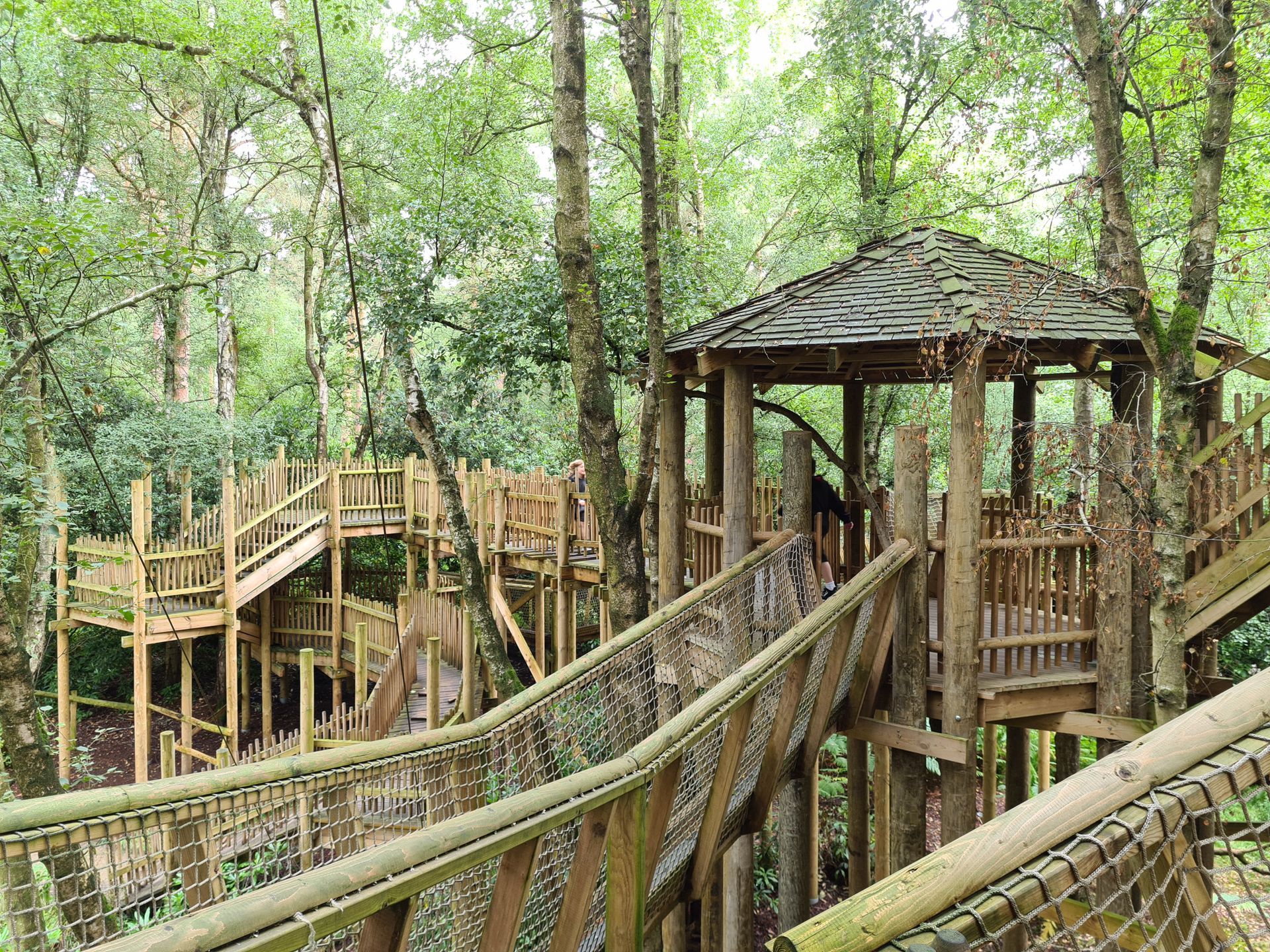 Have an day of adventure at Bewilderwood
