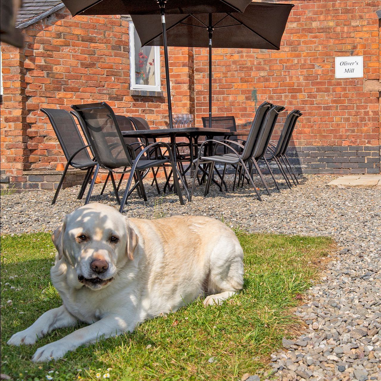 Patio table and chairs outside a brick cottage