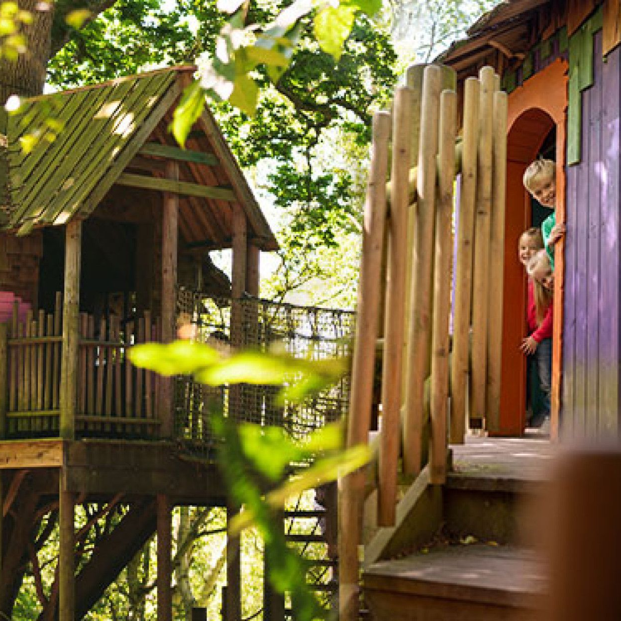  Tree houses in a woodland at Bewilderwood