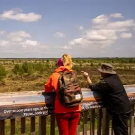 Looking across fenns and whixall mosses