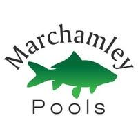Marchamley Fishing Pools, Hodnet
