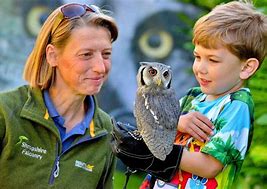 A little boy holding a small grey owl and a lady smiling at the owl