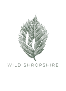Wild Shropshire leaf logo