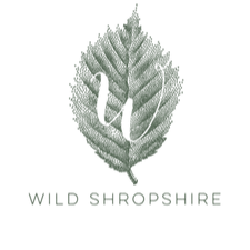 Wild Shropshire leaf logo