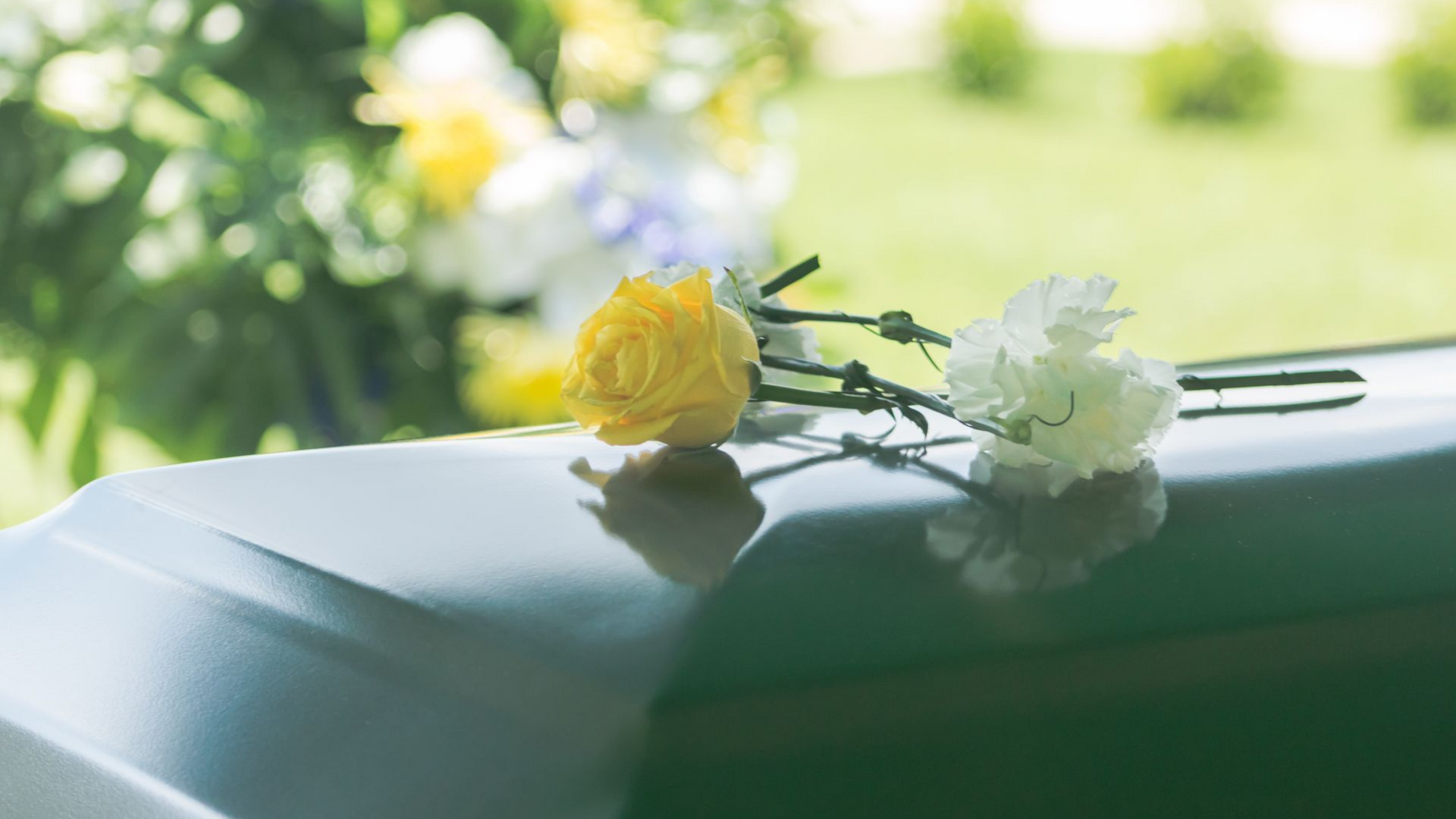 Yellow rose and white carnation on a closed, green casket. Flowers in the background.