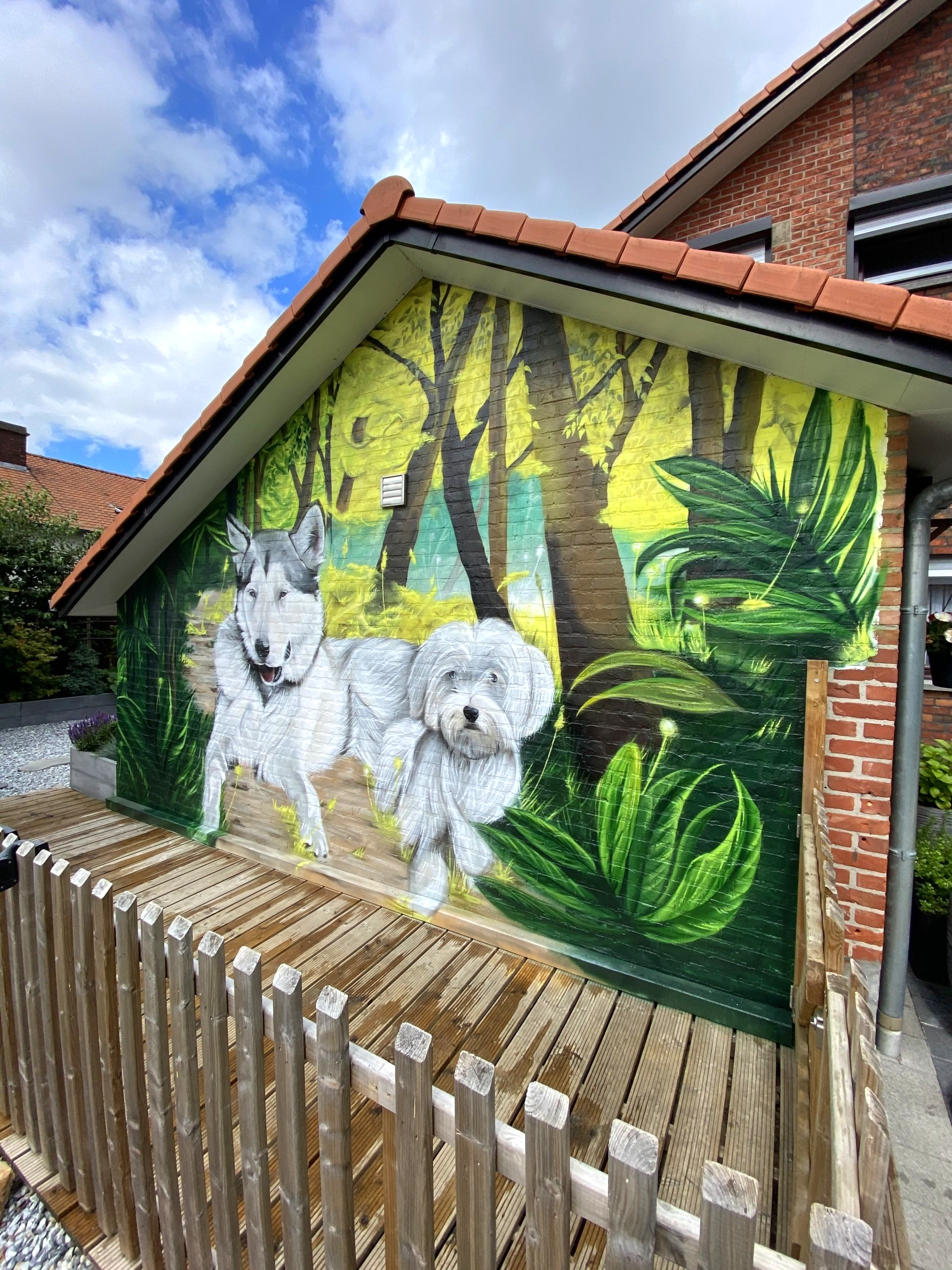 Aiko the alaskan malamute