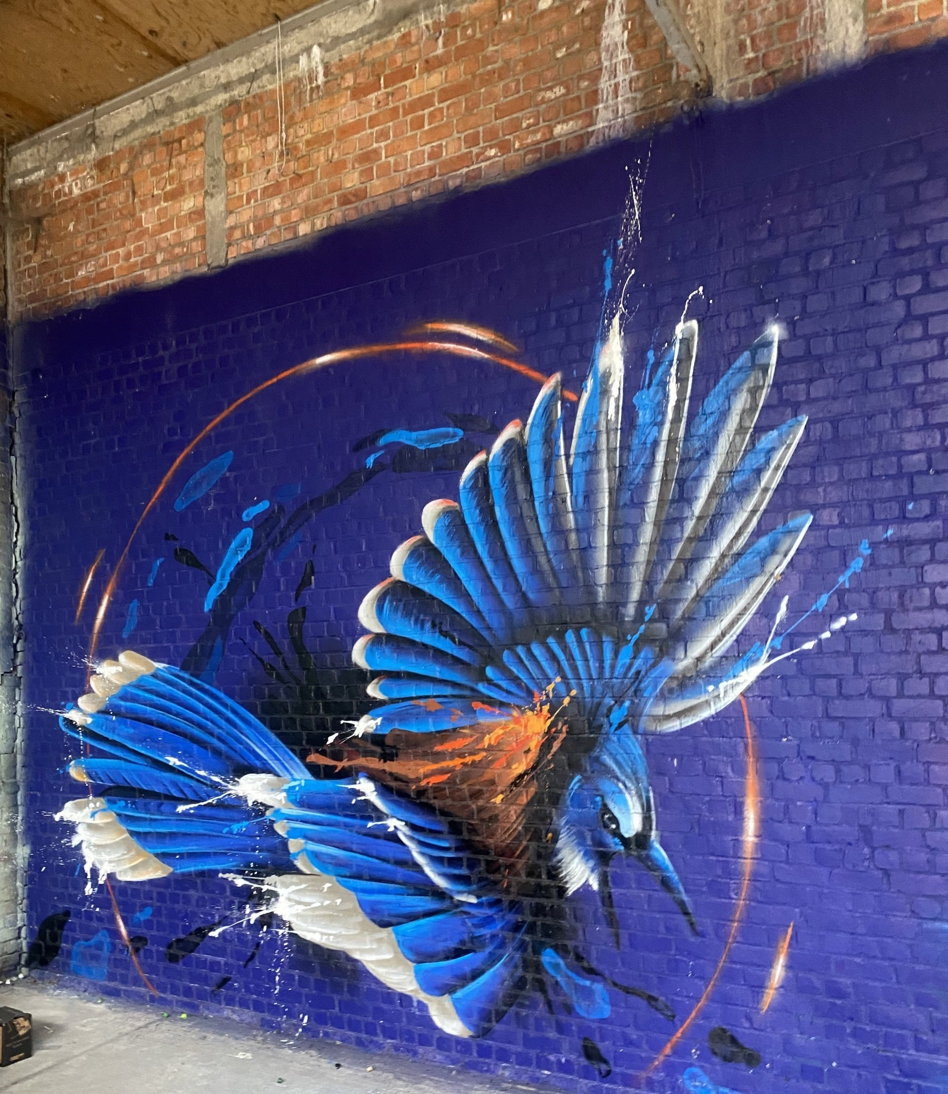 Blue Bird Summerjam Diest