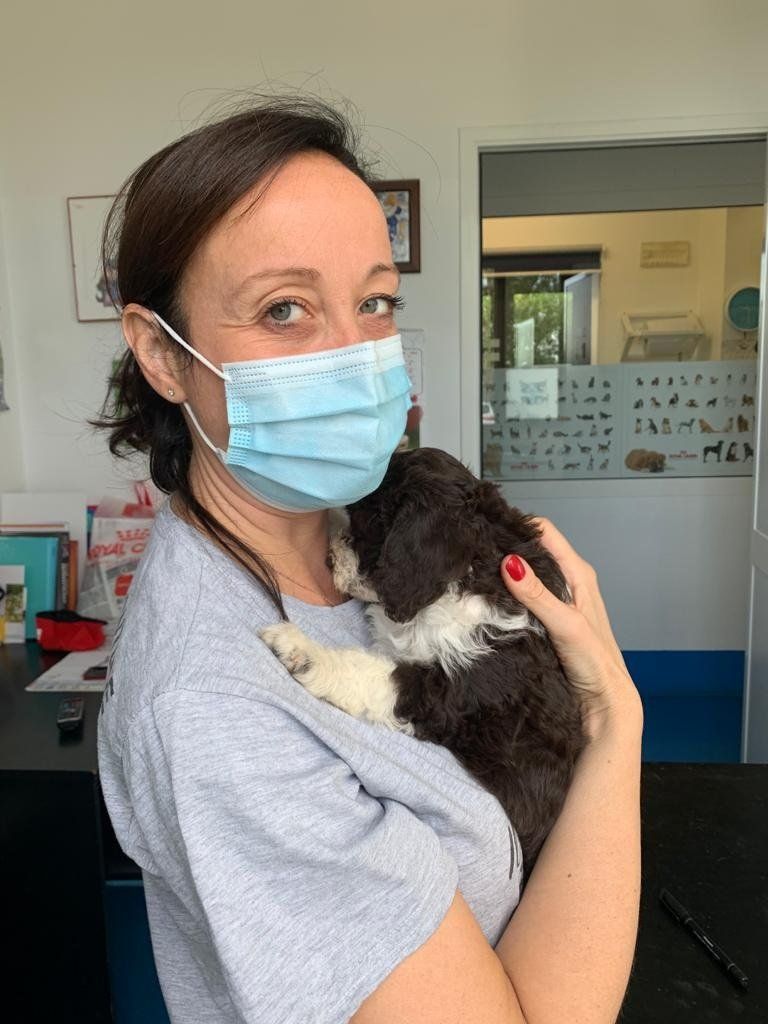 Veterinaria con cane