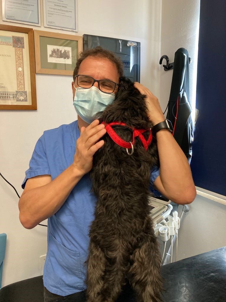 Dott.ssa Cecilia Sisi