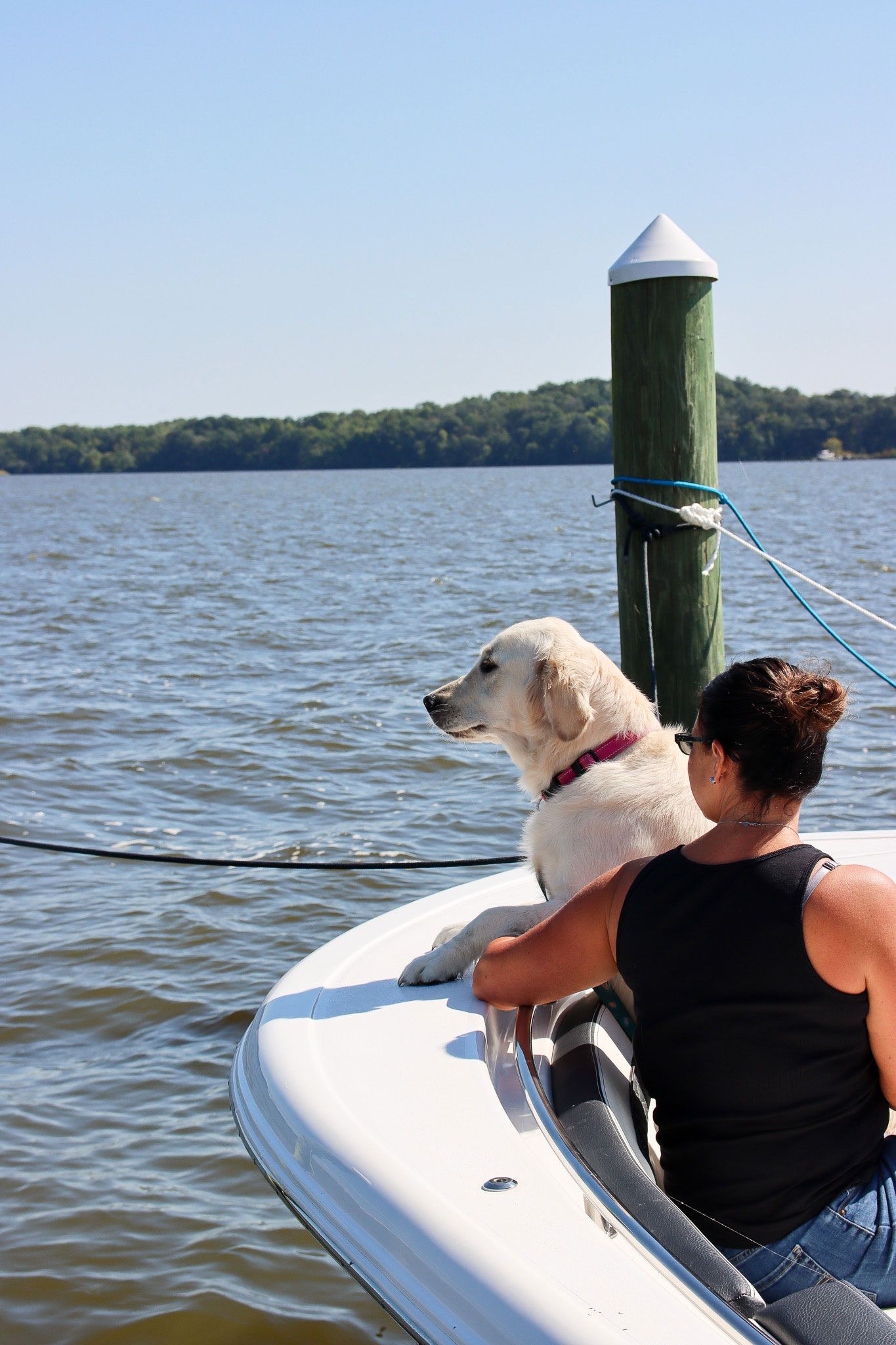 Person with a white dog on a kayak beside a dock on calm water