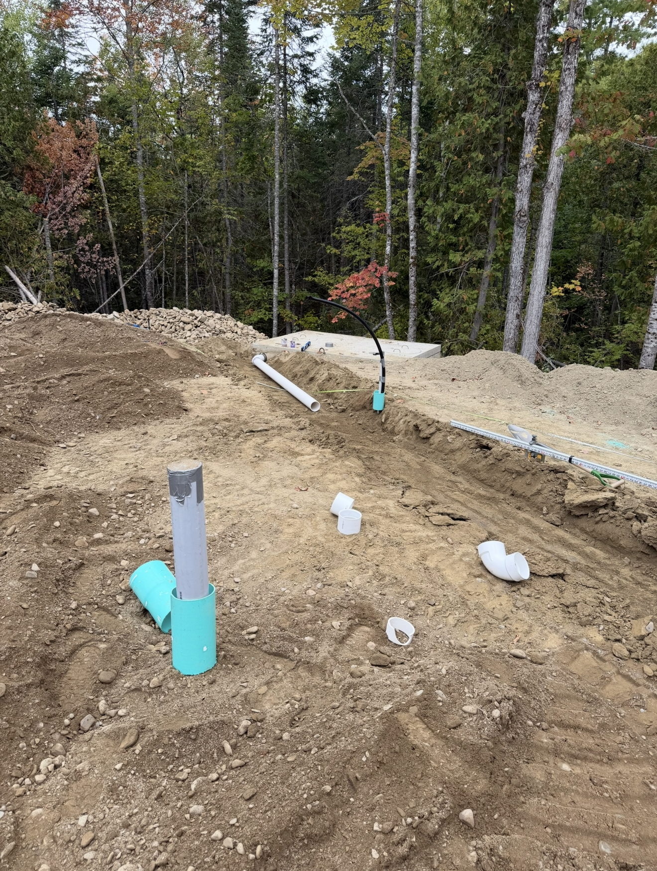 A large excavator is cutting down trees in the woods.