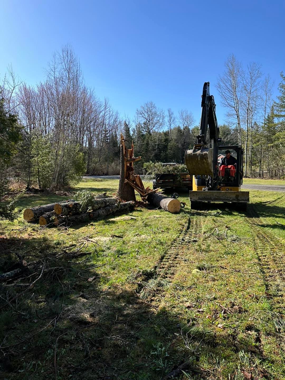 A bulldozer is cutting down trees in a field.