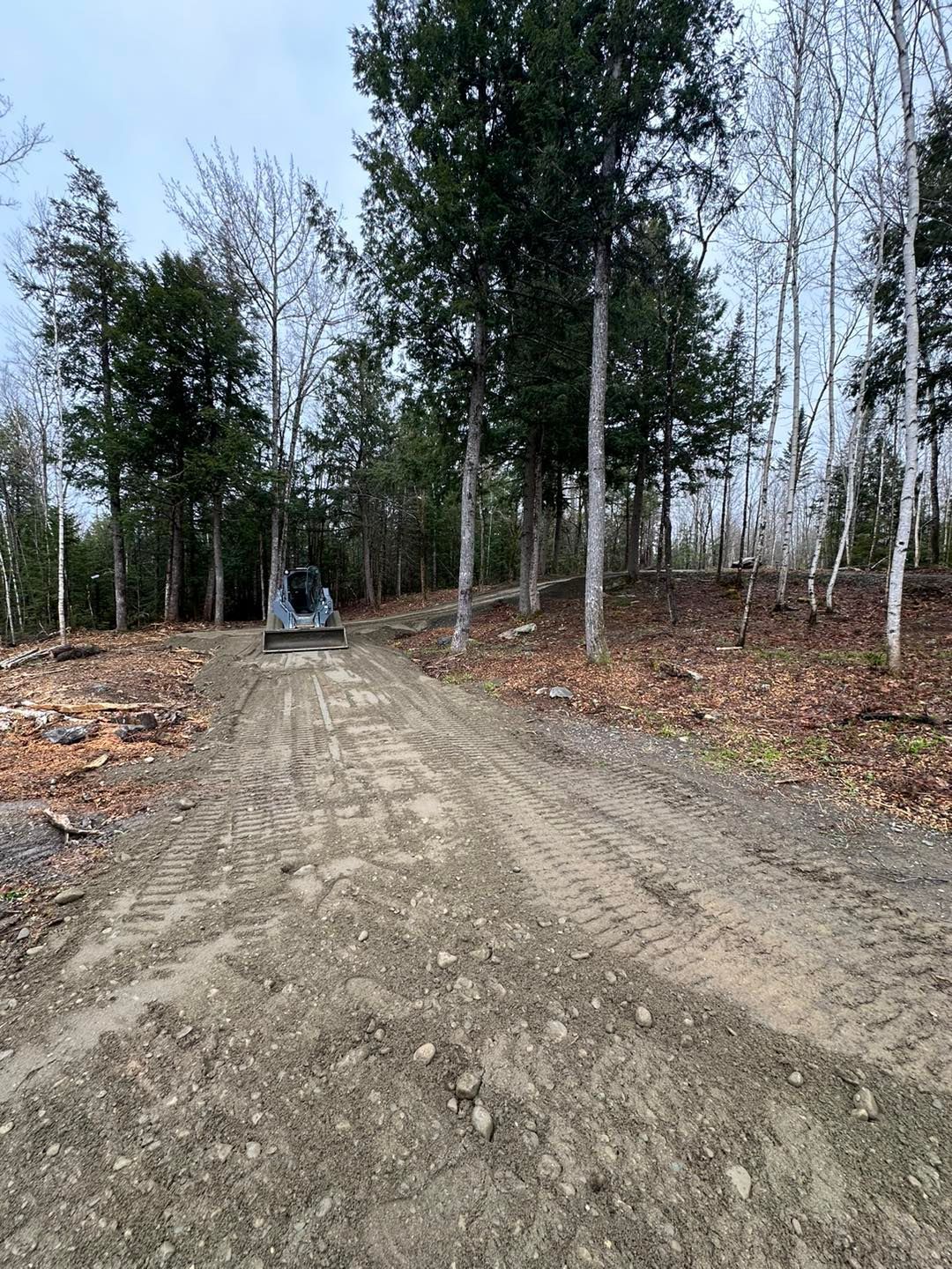 A bulldozer is driving down a dirt road in the woods.