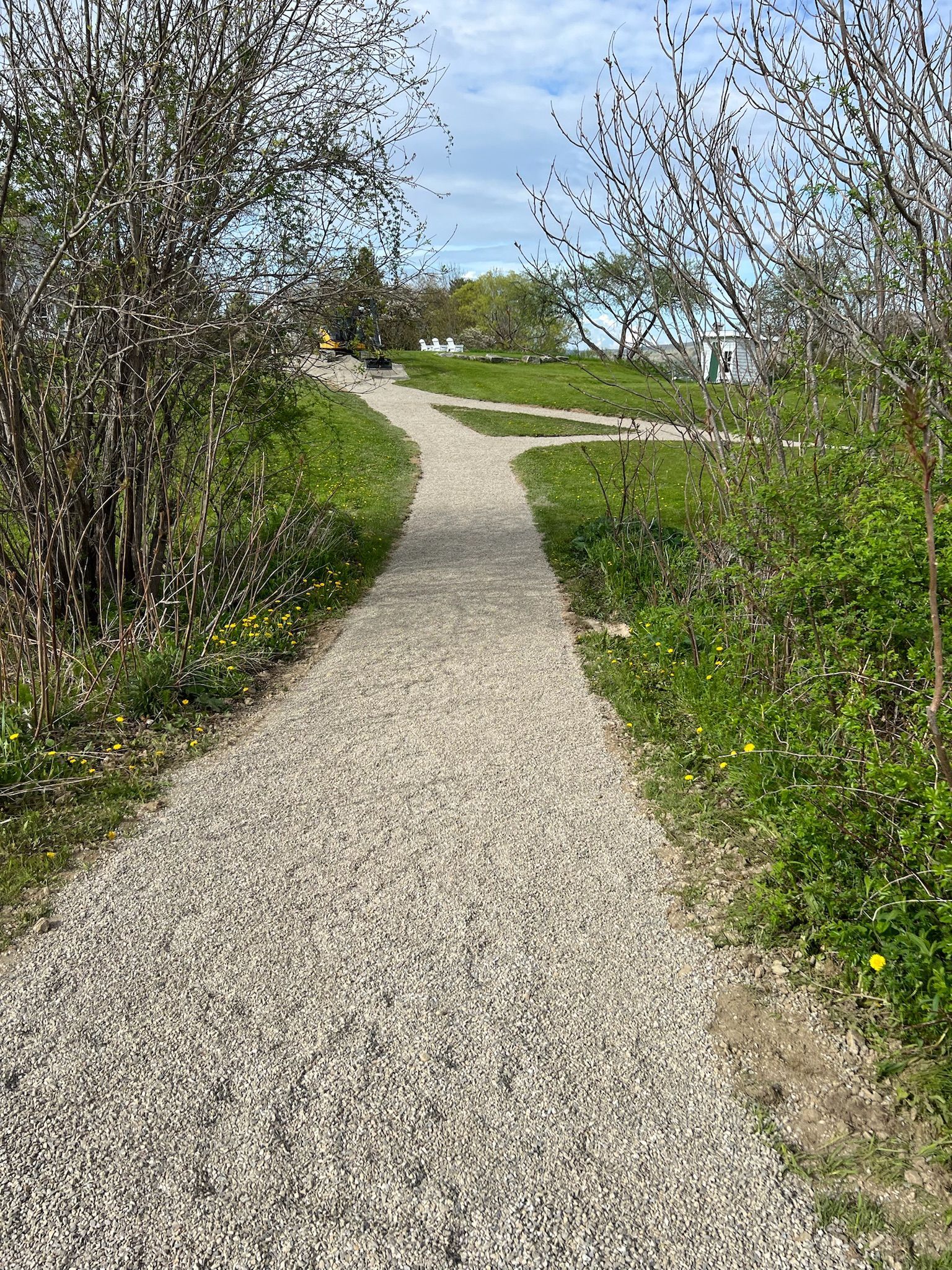 A gravel path going through a park surrounded by trees and grass.