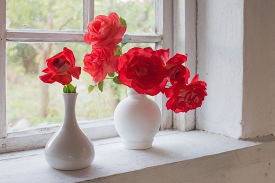 Rose rosse in vasi bianchi