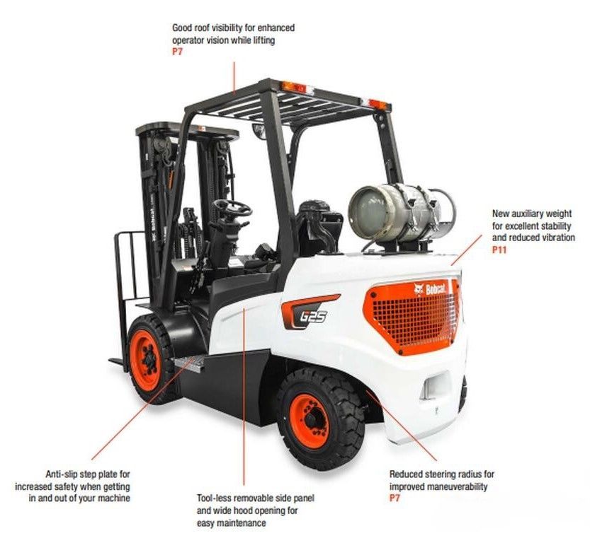 bobcat characteristics gallery