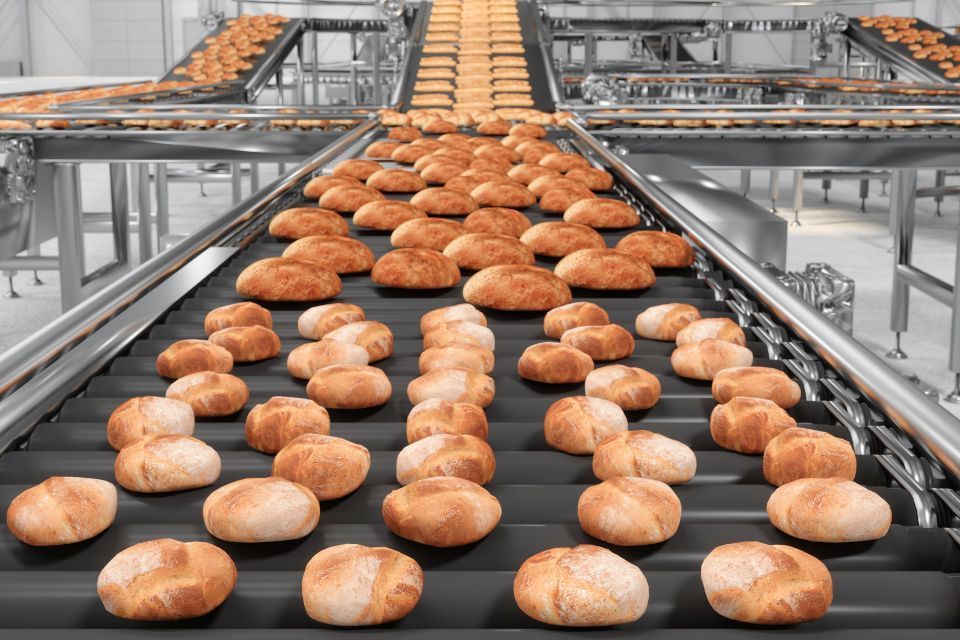 Bread rolls on conveyor belts in a bakery, rows of baked goods, industrial setting.