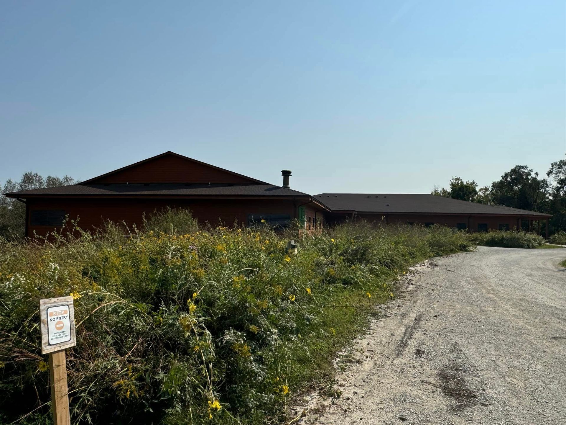 A one-story building with a brown roof and a gravel driveway is surrounded by overgrown vegetation.