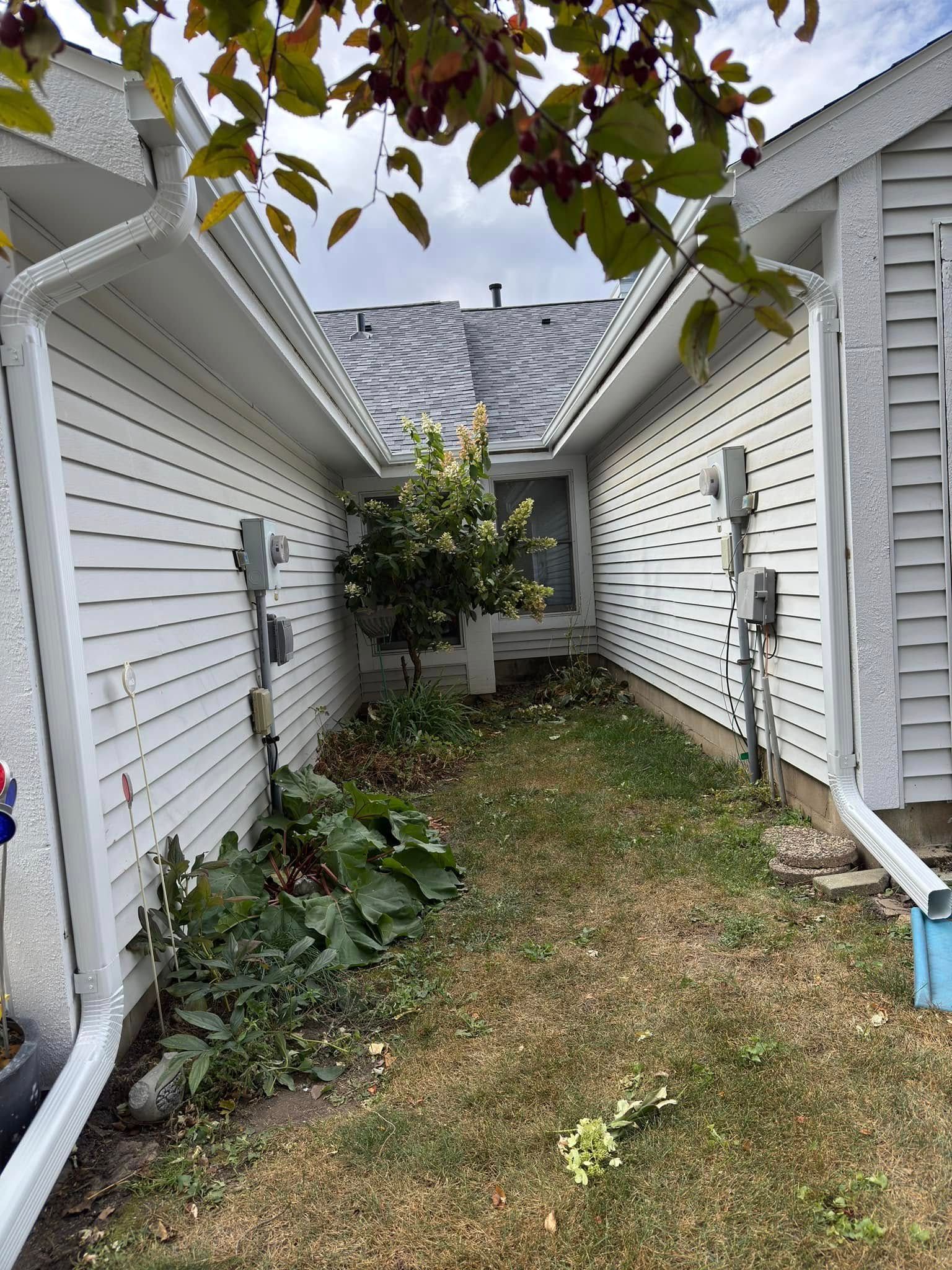 Narrow outdoor space between white buildings, with a small tree and overgrown vegetation.
