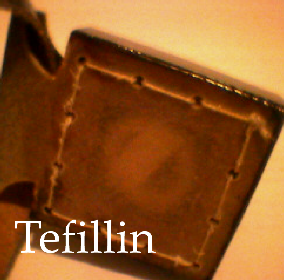 Link to tefillin page