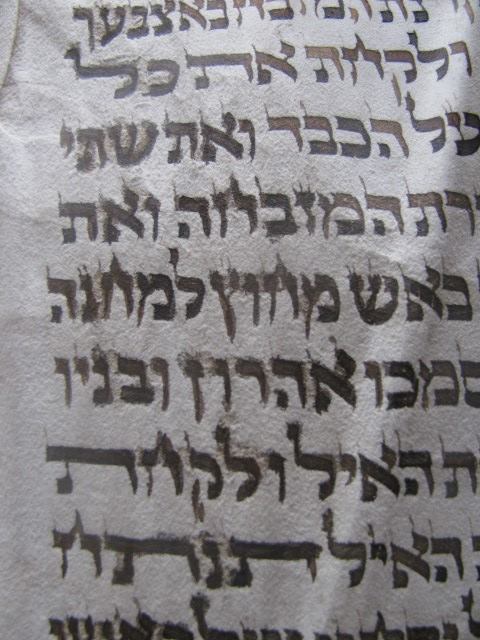 Alexander Torah Aharon with a vav (water damaged)