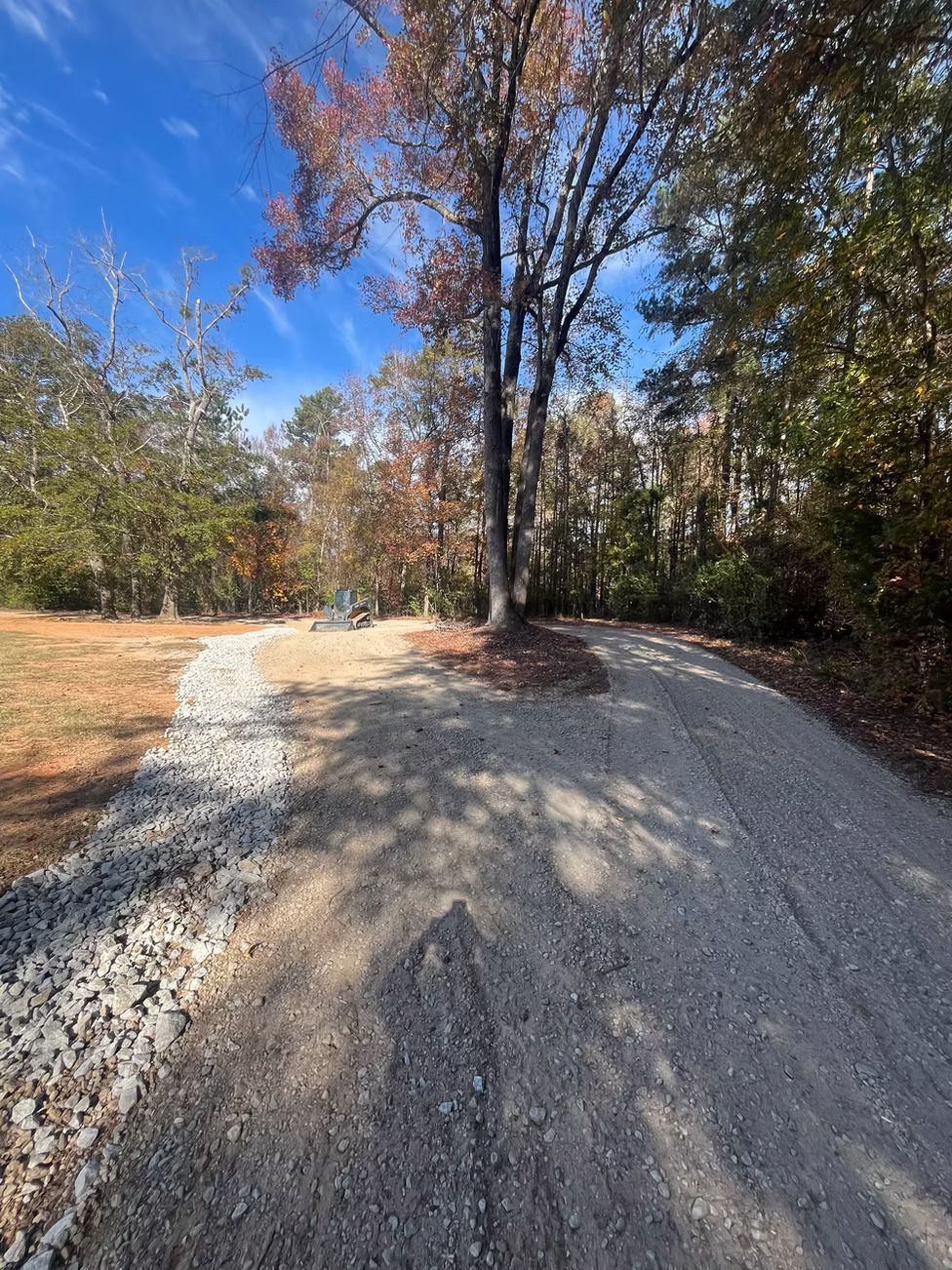 Gravel driveway with a large tree in the center, surrounded by trees and blue sky.