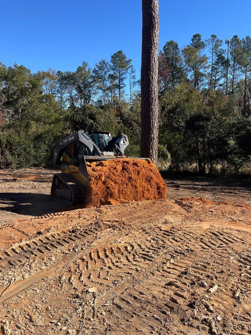 Skid steer mulching around a tree in a cleared area, orange mulch pile, blue sky, and trees in the background.