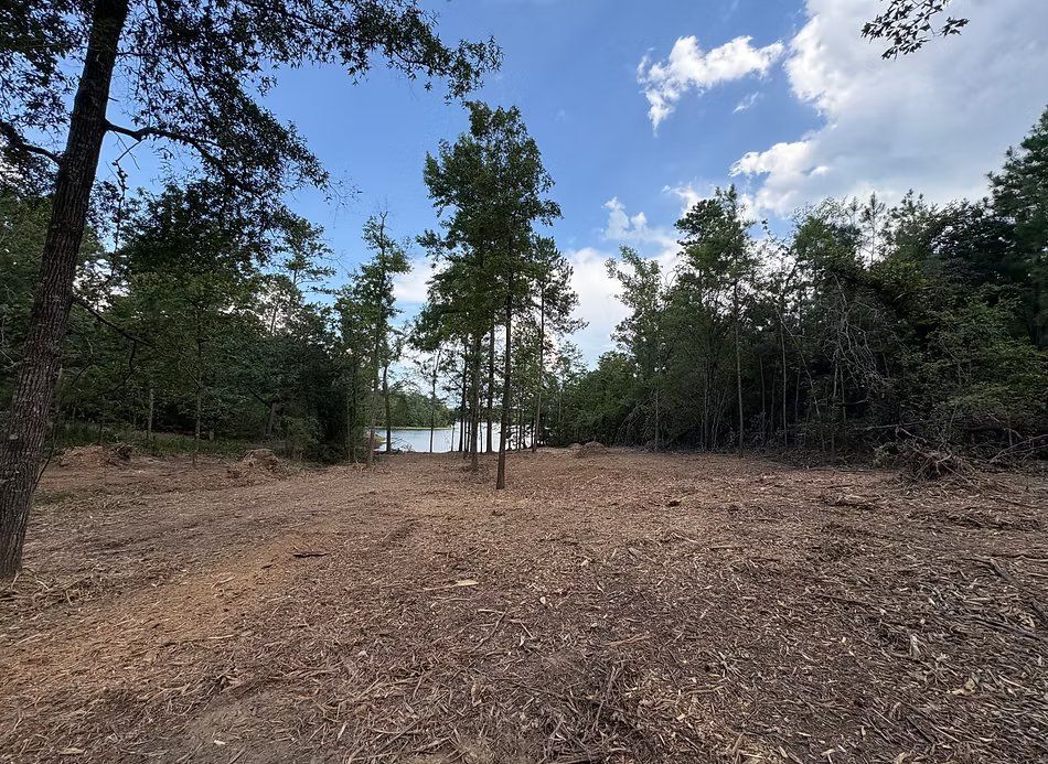 Clearing in a forest with wood chips, view to a lake under blue sky with clouds.