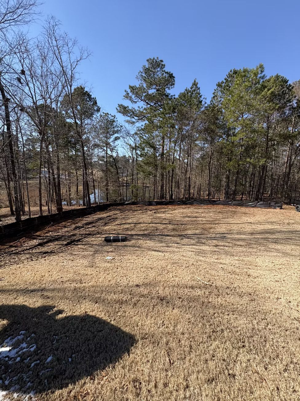 Grassy field with dead grass in foreground, trees in the background, and a clear blue sky.