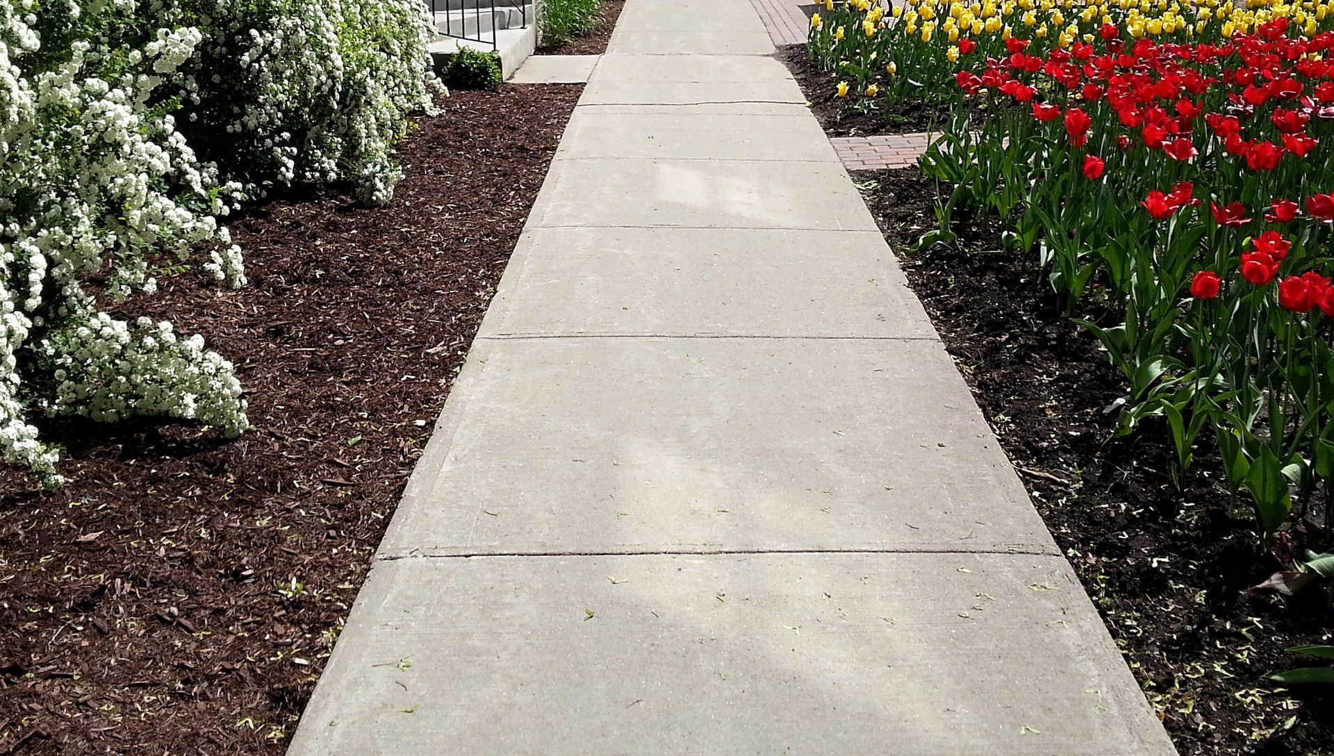 Sidewalk and Flowers — Minot, ND & Montrose, MN — Kalamaha Koncepts