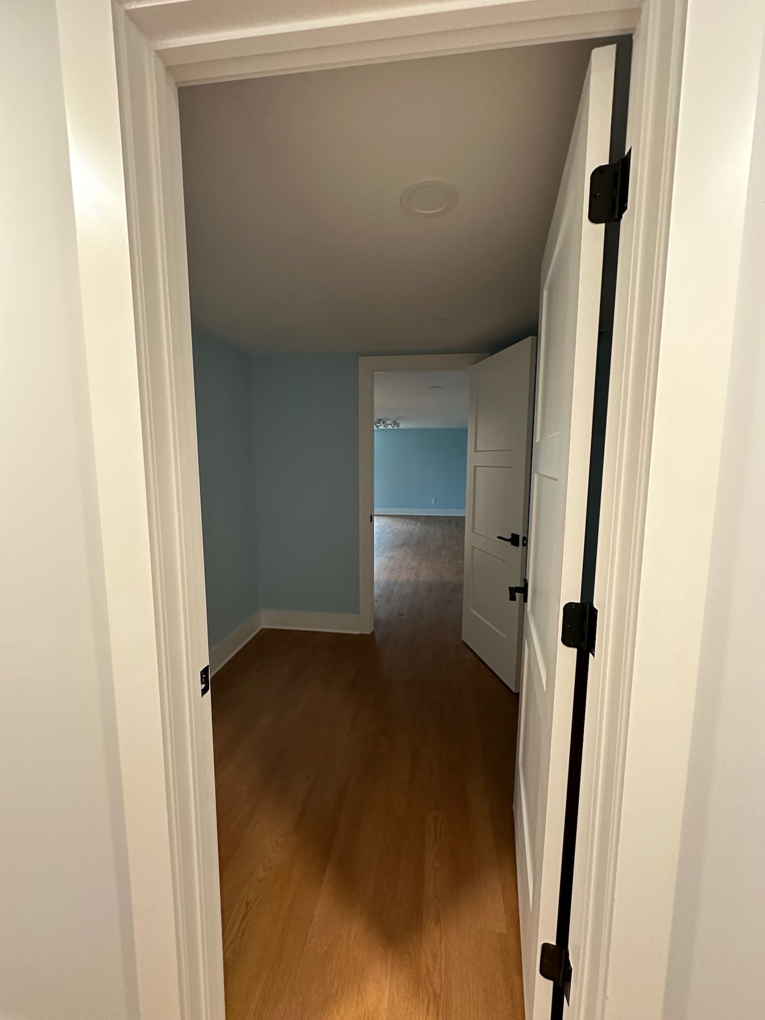 A door is open to a room with hardwood floors and blue walls.