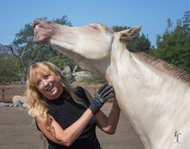 Horse Breeders Murrieta, CA