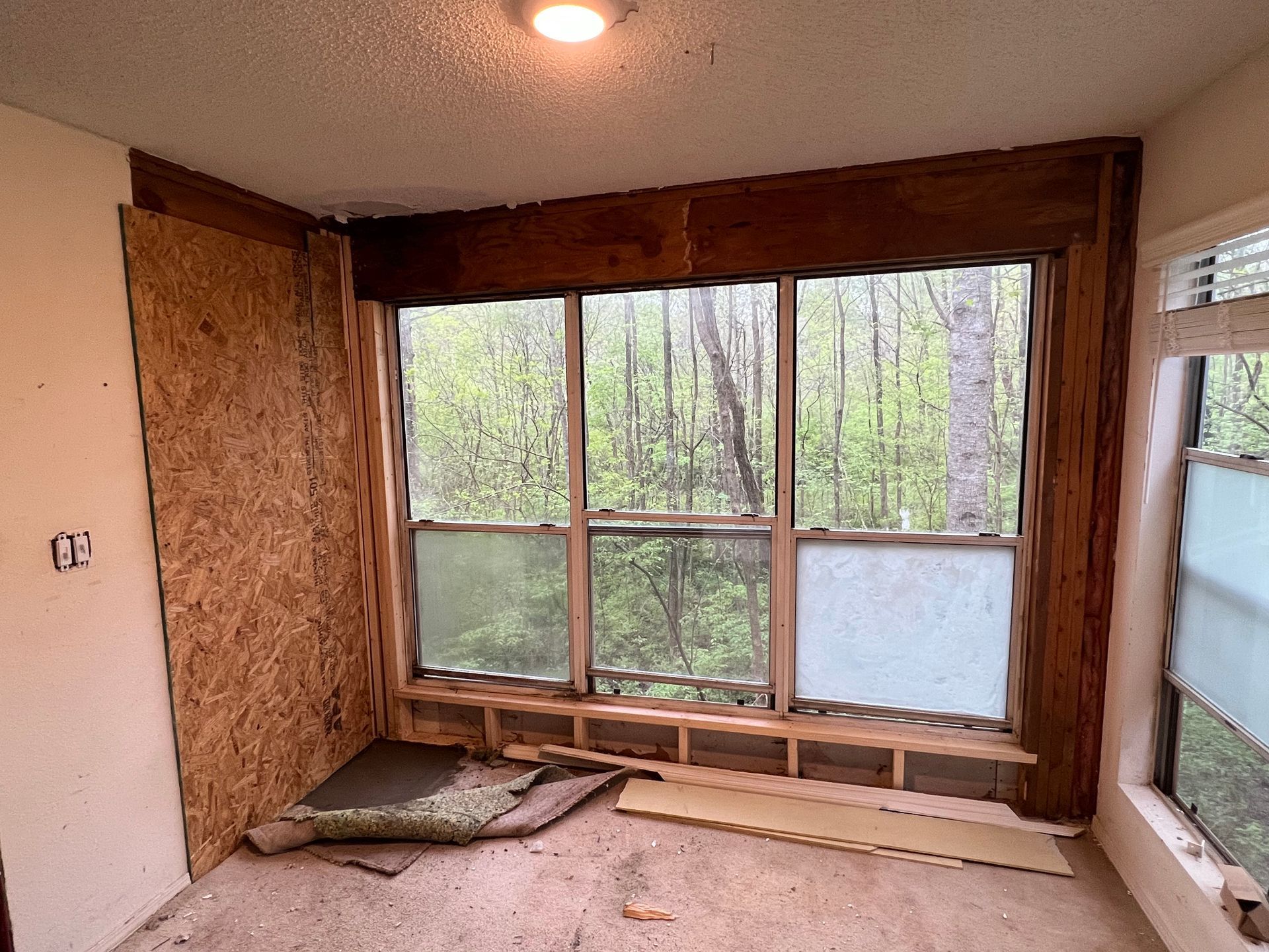 Interior corner with unfinished wood-framed windows overlooking trees. Walls have exposed particleboard.
