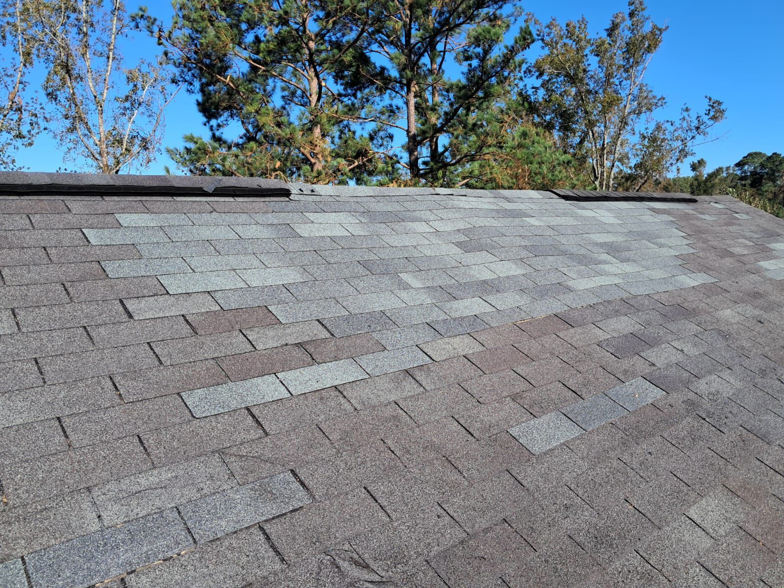 Shingle roof showing areas of wear and discoloration under a bright blue sky.
