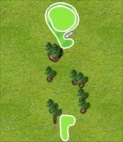 Hole 8 map