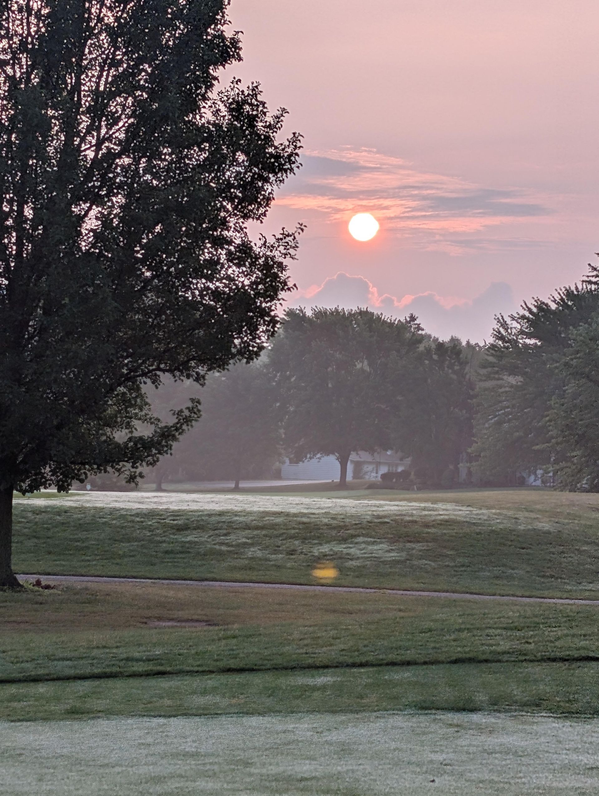 Sunrise over a grassy field with trees. Soft pink and orange sky.