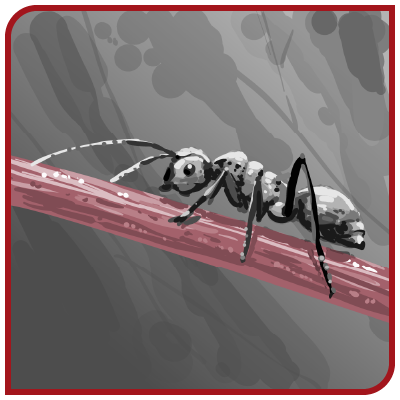 Une fourmi noire et blanche est assise sur un bâton rouge.