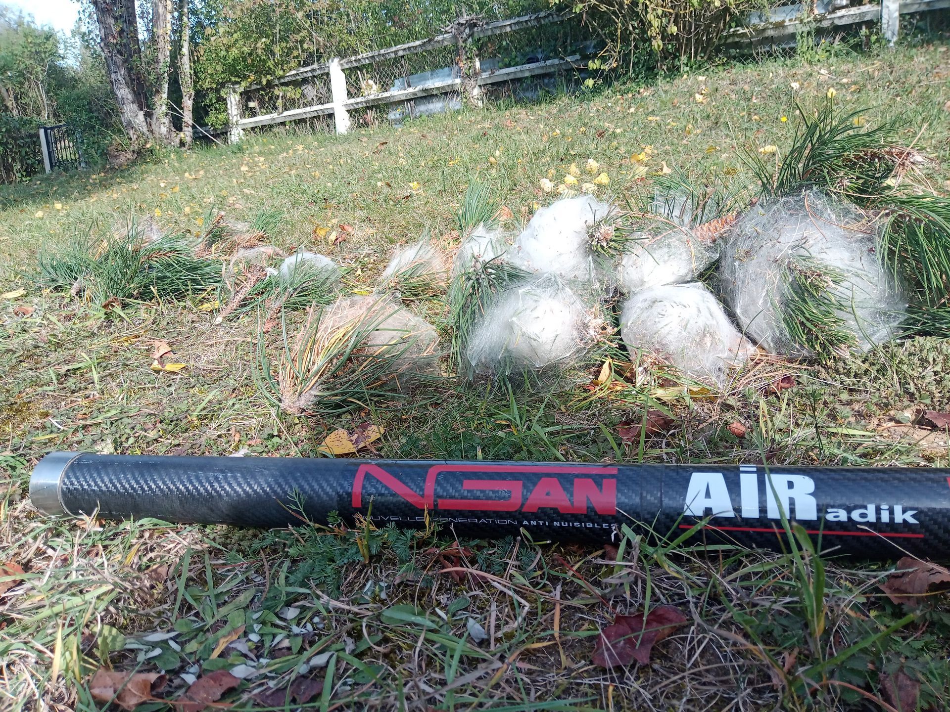 Une batte de baseball est posée sur le sol dans l'herbe.