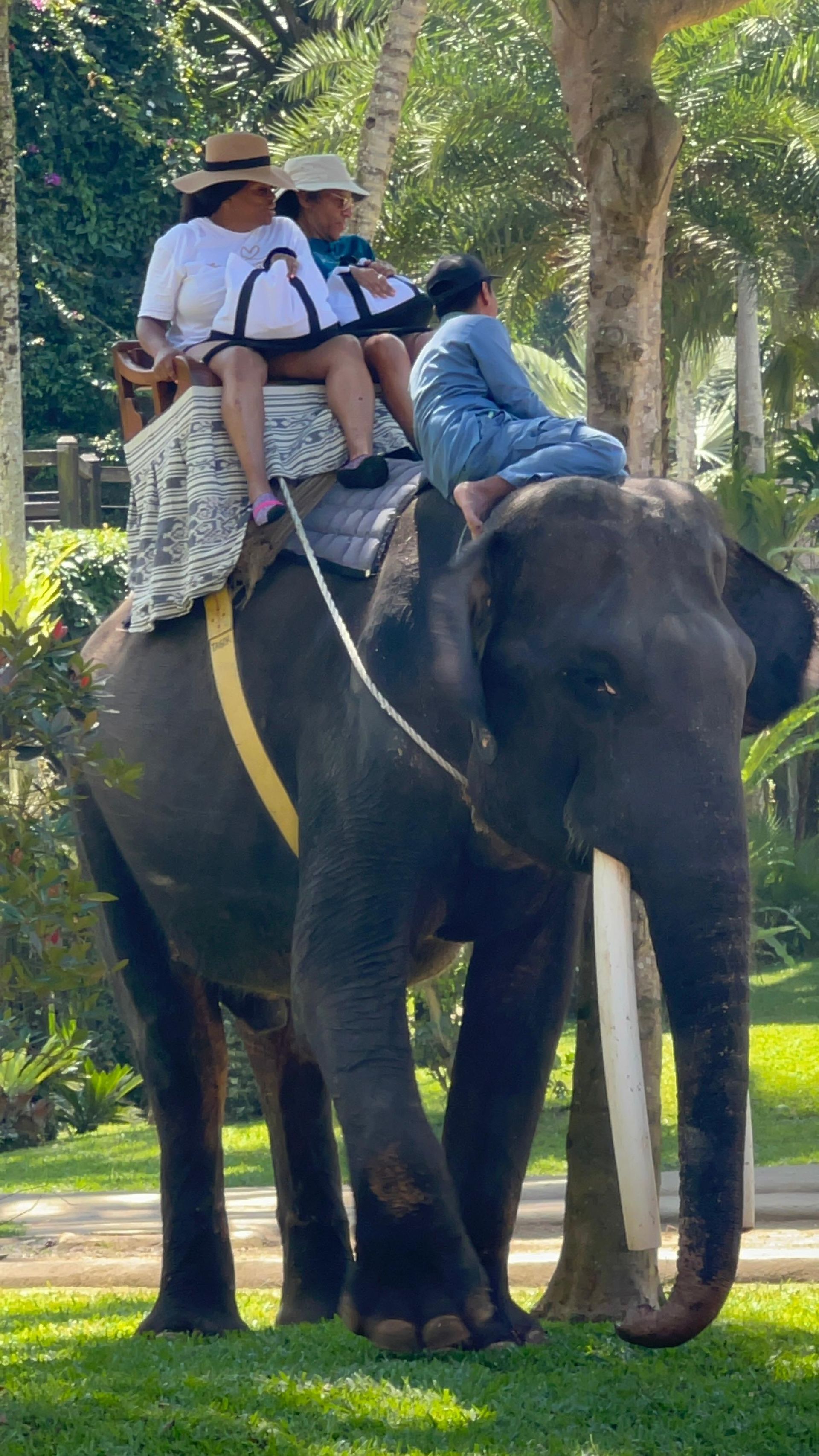 “Black Travelers International group at the elephant sanctuary in Bali