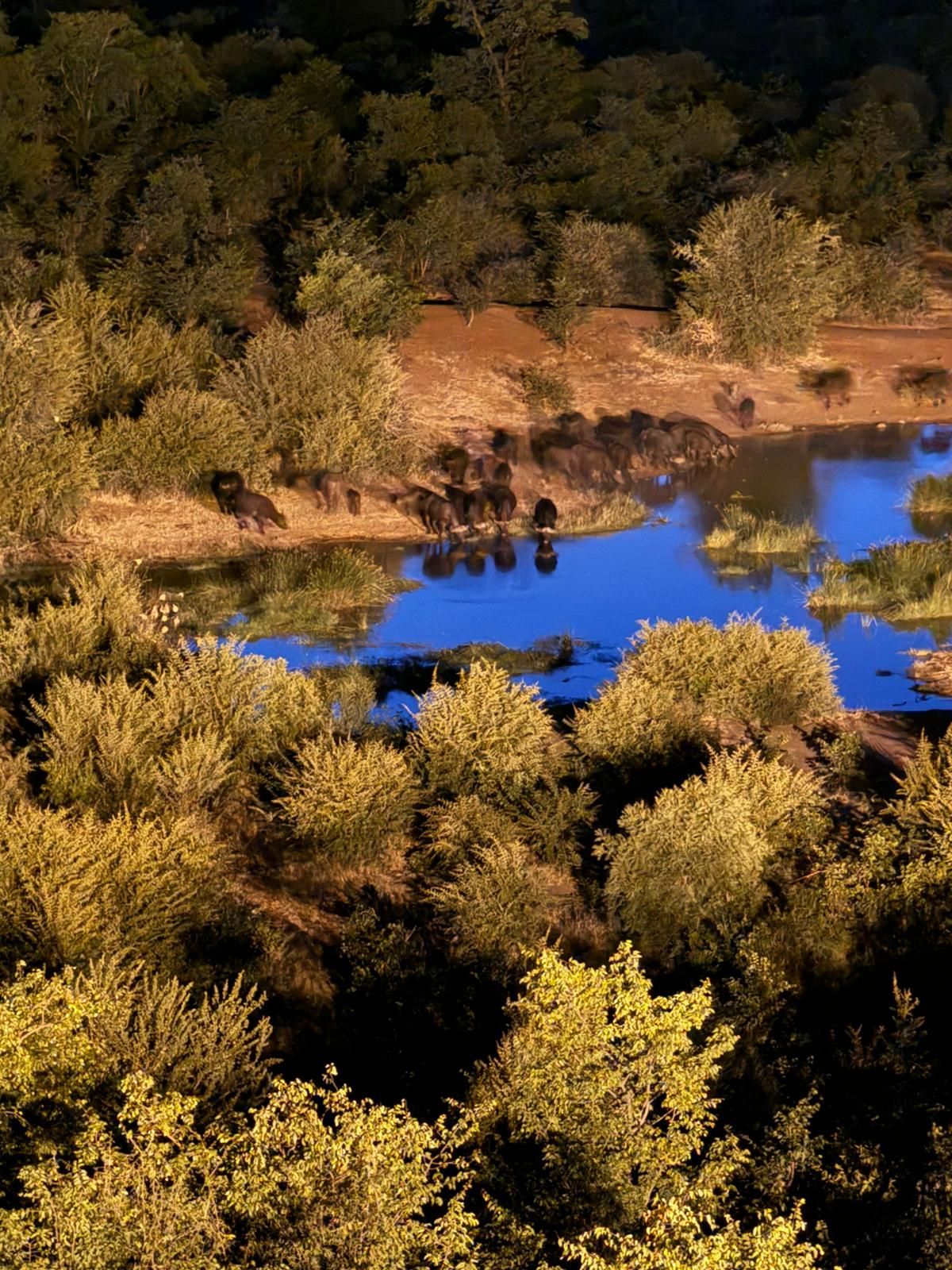 Tips for First Time Travelers to Africa