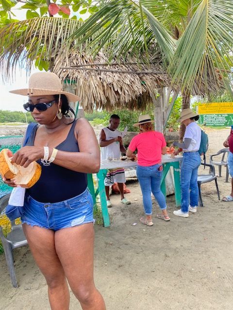 SOUTH AMERICAN TRIPS