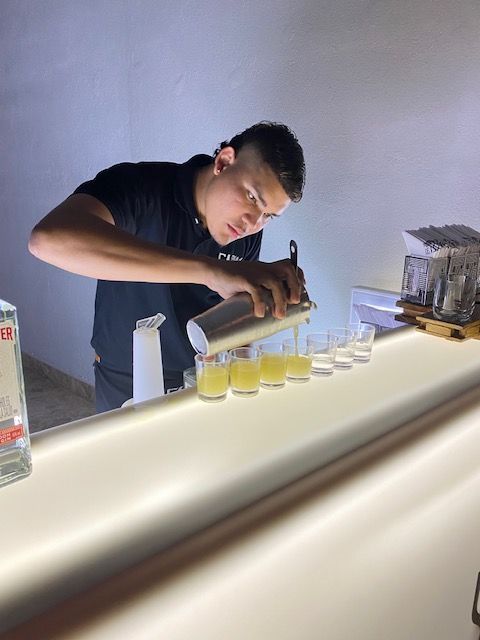 SOUTH AMERICAN TRIPS