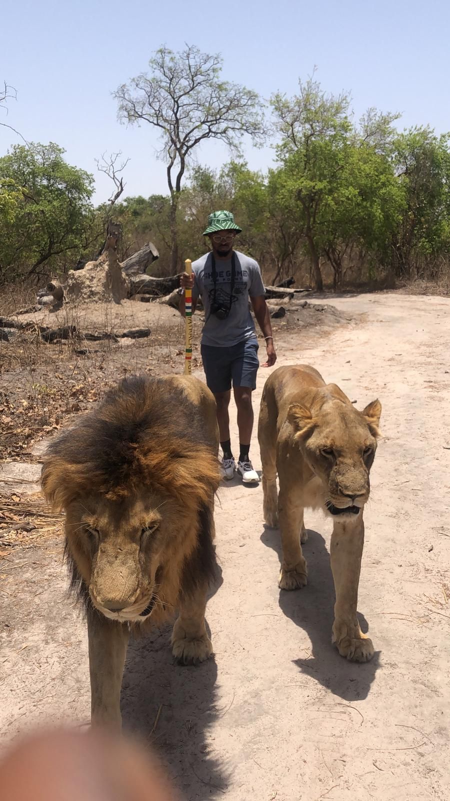 women travel group to Senegal