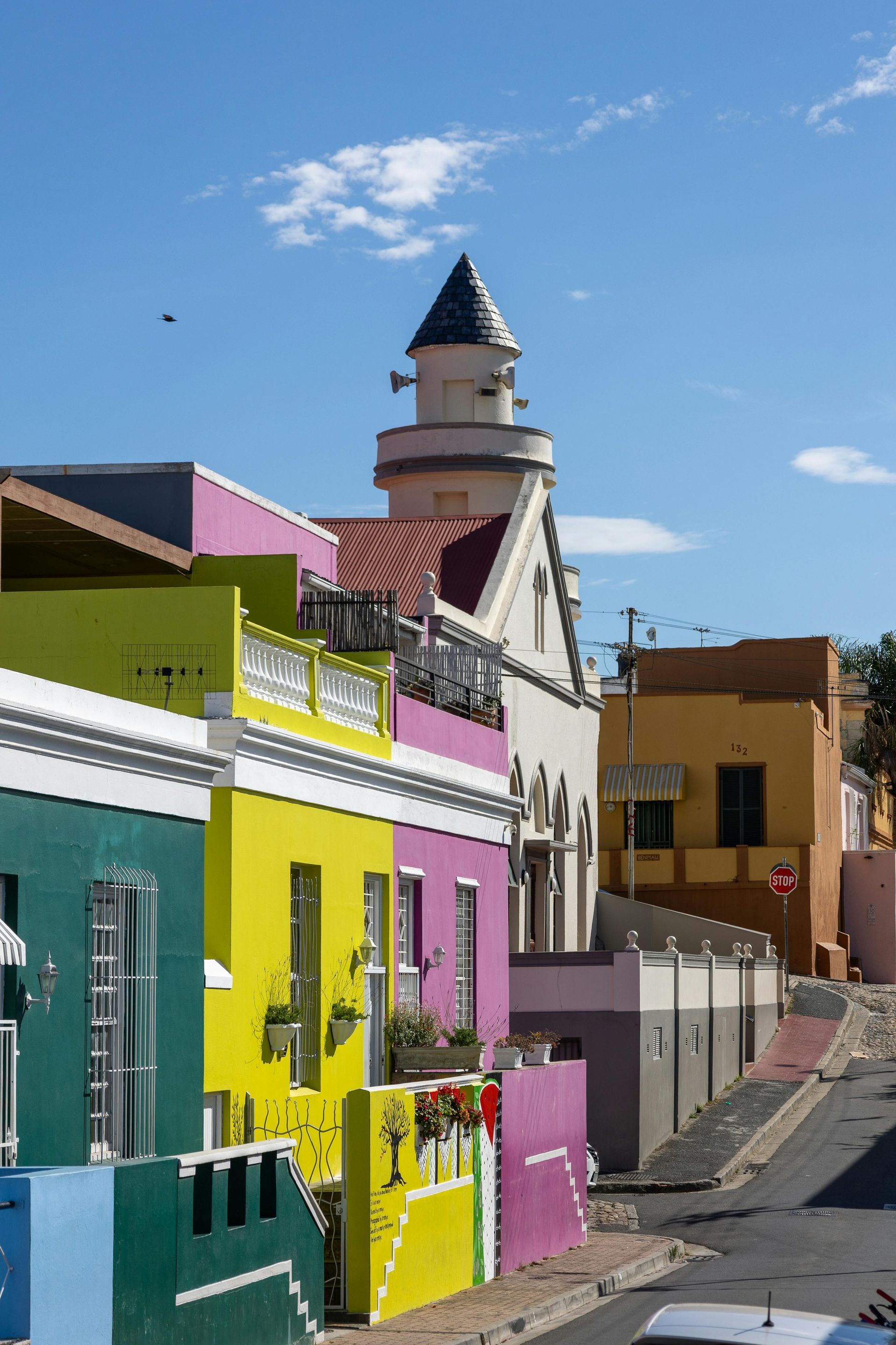 black travelers on safari