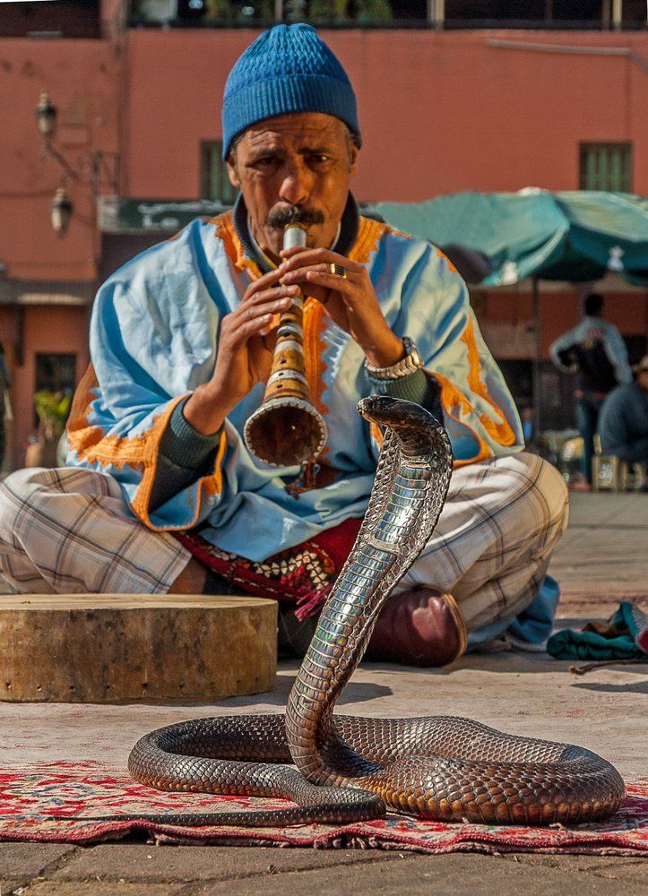 black women travel to Morocco