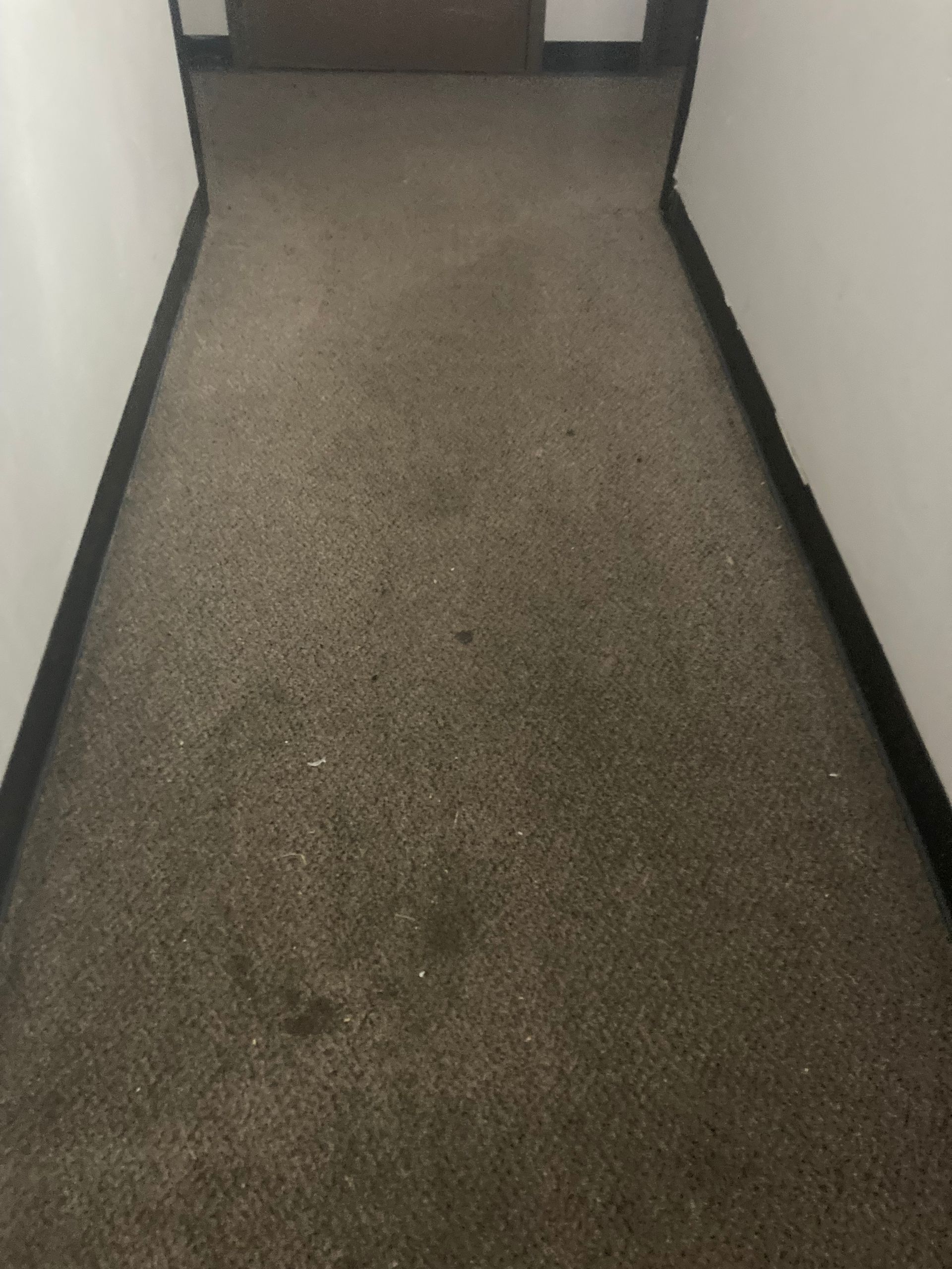 A view down a narrow, gray carpeted hallway with white walls and dark baseboards leading to a closed door at the end.