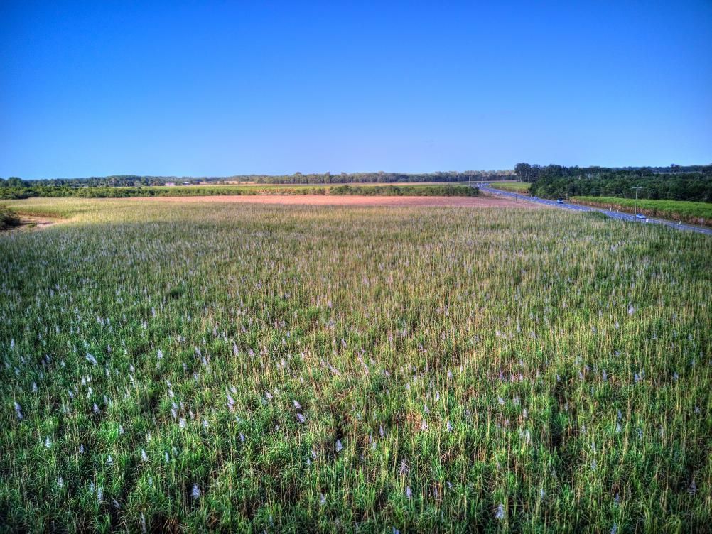An Aerial View of a Lush Green Field With a River in the Background — La Bomba Loca Tattoo in Smithfield, QLD