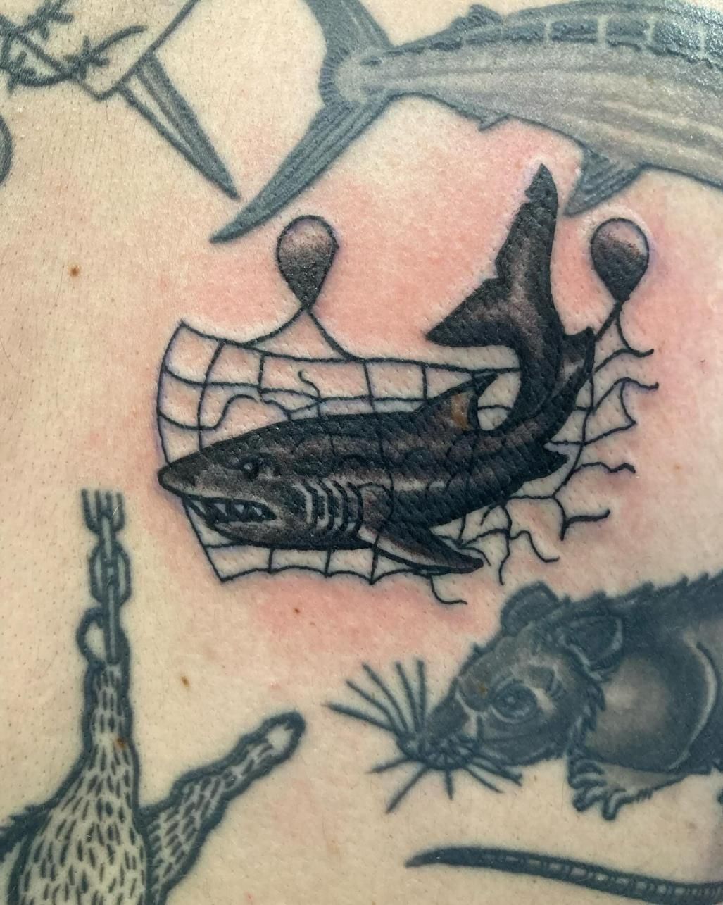 A Tattoo of a Shark in a Net on a Person's Back — La Bomba Loca Tattoo in Cairns City, QLD