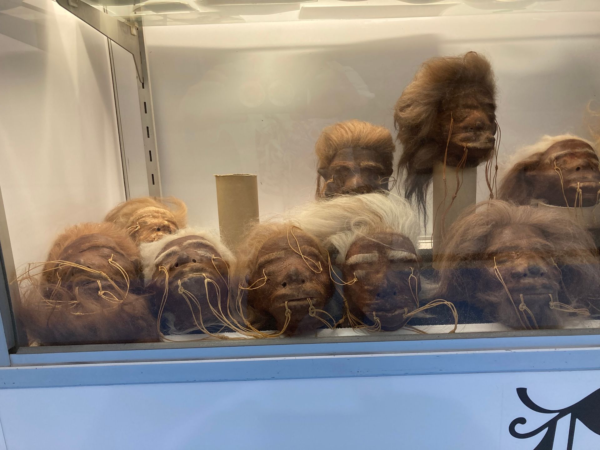 A Display Case With a Bunch of Heads in It — La Bomba Loca Tattoo in Cairns City, QLD